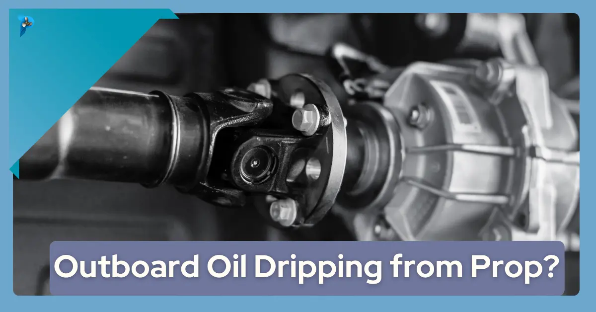 Outboard Oil Dripping from Prop