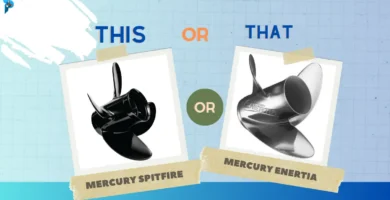 Mercury Spitfire vs Enertia