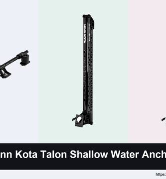 3 Best Minn Kota Talon Shallow Water Anchors in 2026