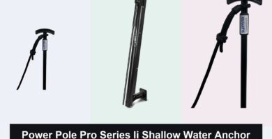 6 Best Shallow Water Anchors for 2026